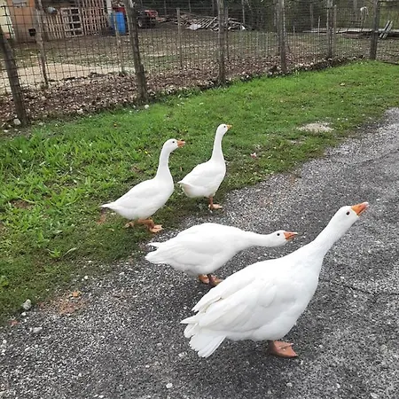 La Casa Dei Nonni Nocleg ze śniadaniem 3*