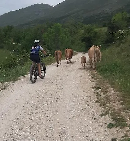 La Casa Dei Nonni Nocleg ze śniadaniem Assergi
