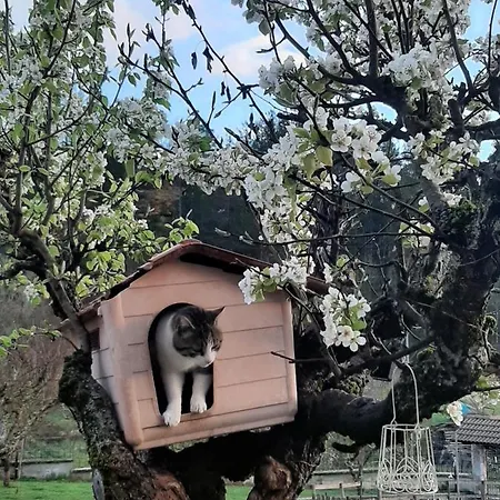 La Casa Dei Nonni Отель типа 