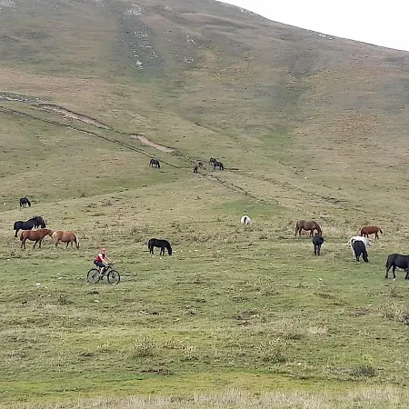 Bed & Breakfast La Casa Dei Nonni 3*