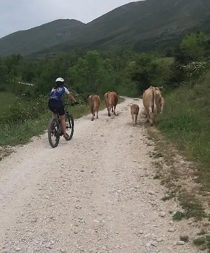 La Casa Dei Nonni Bed & Breakfast Assergi