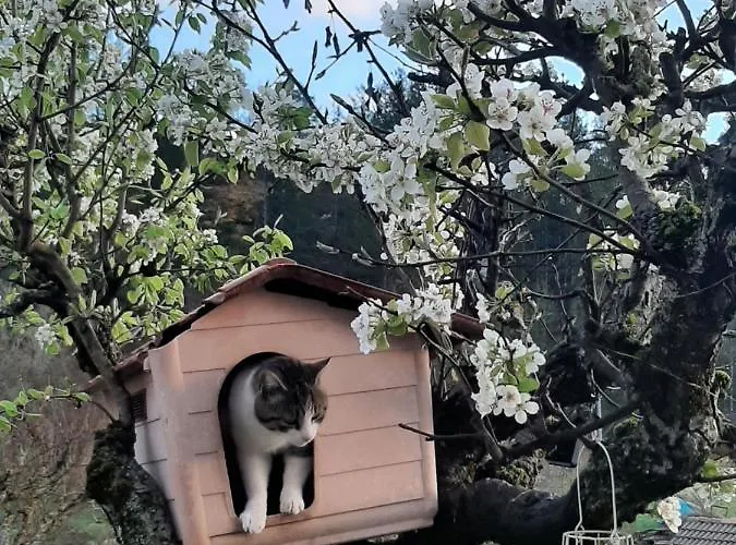 La Casa Dei Nonni Отель типа 